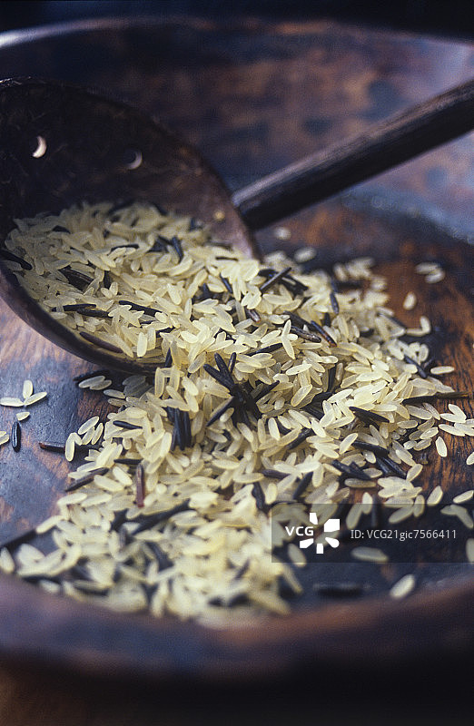 野生稻图片素材