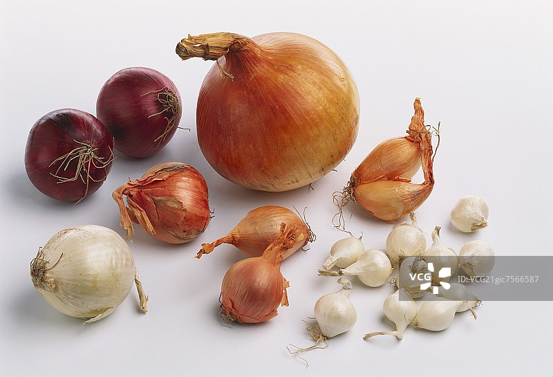 各种洋葱静物图片素材