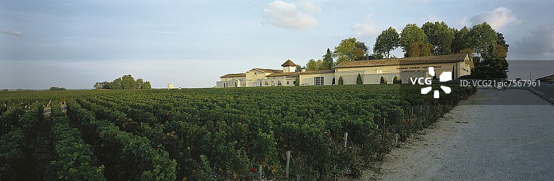 碧尚男爵酒庄图片素材