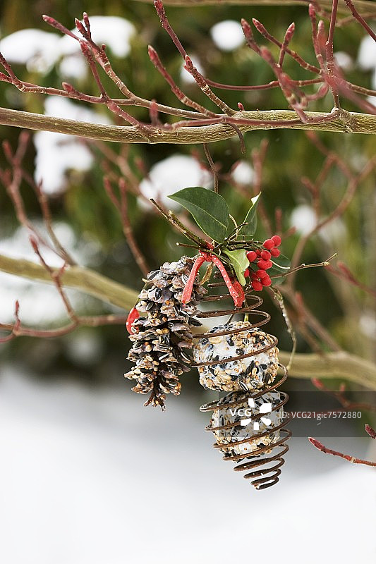 鸟食球和装满鸟食的锥体图片素材