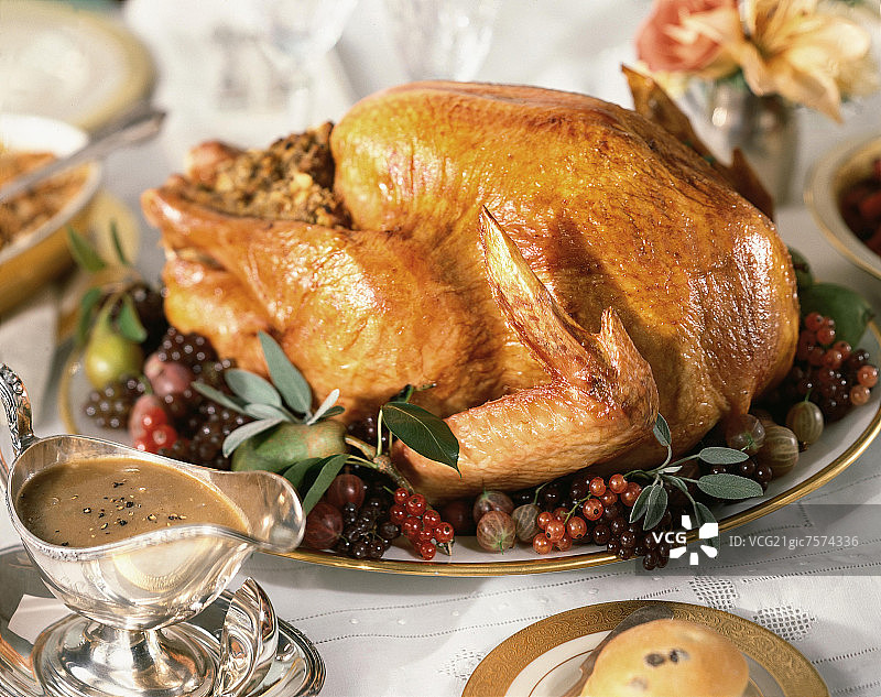感恩节火鸡图片素材