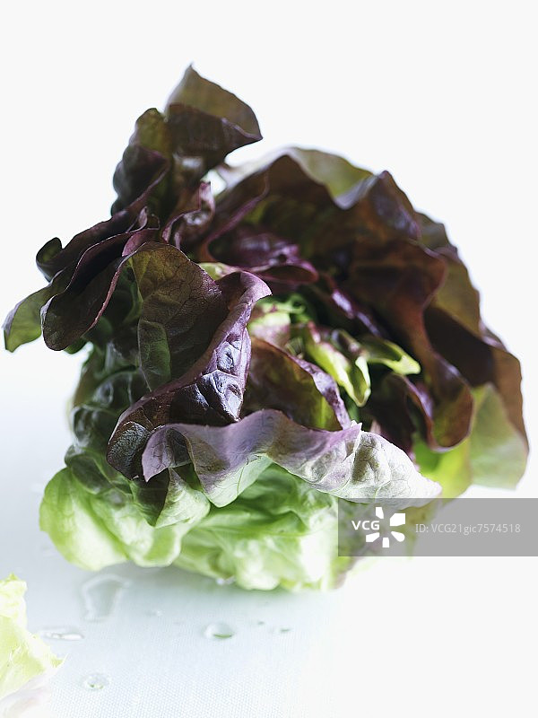 红生菜图片素材