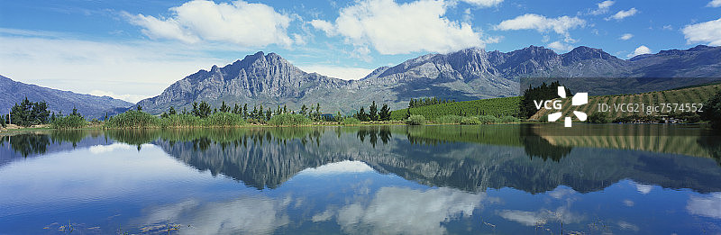 图尔巴赫葡萄园：南非优质葡萄酒产区图片素材