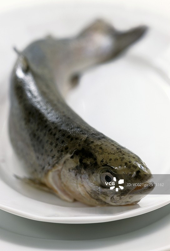 盘子里的鳟鱼图片素材