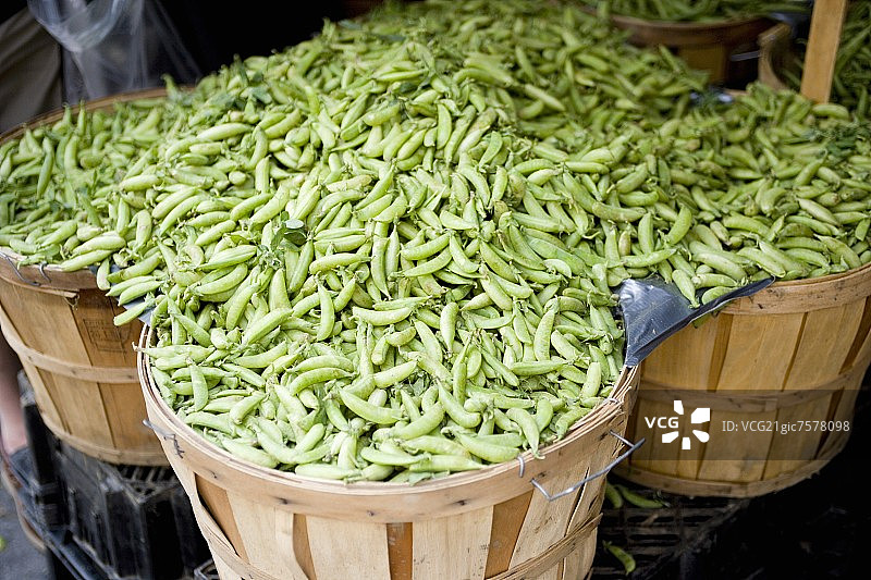 纽约市联合广场市场的有机荷兰豆图片素材