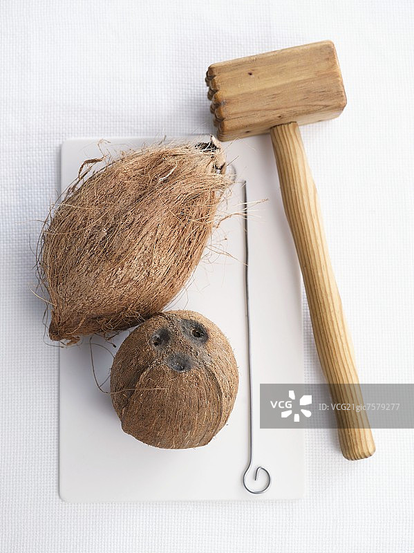 椰子和嫩肉锤图片素材