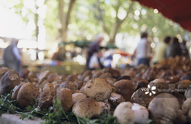 法国普罗旺斯阿尔勒市场摊位上的新鲜牛肝菌图片素材