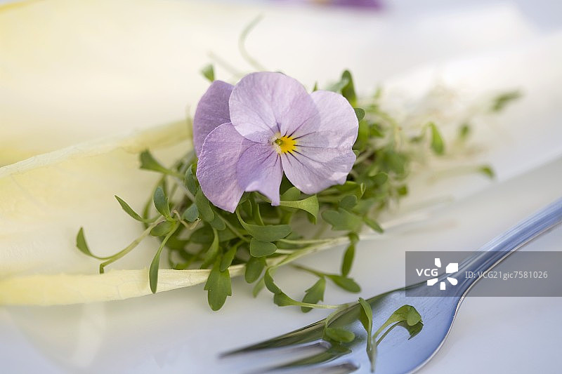 角堇与豆瓣菜图片素材