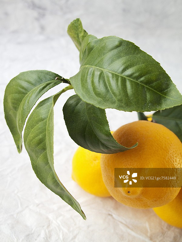 黄色柠檬图片素材