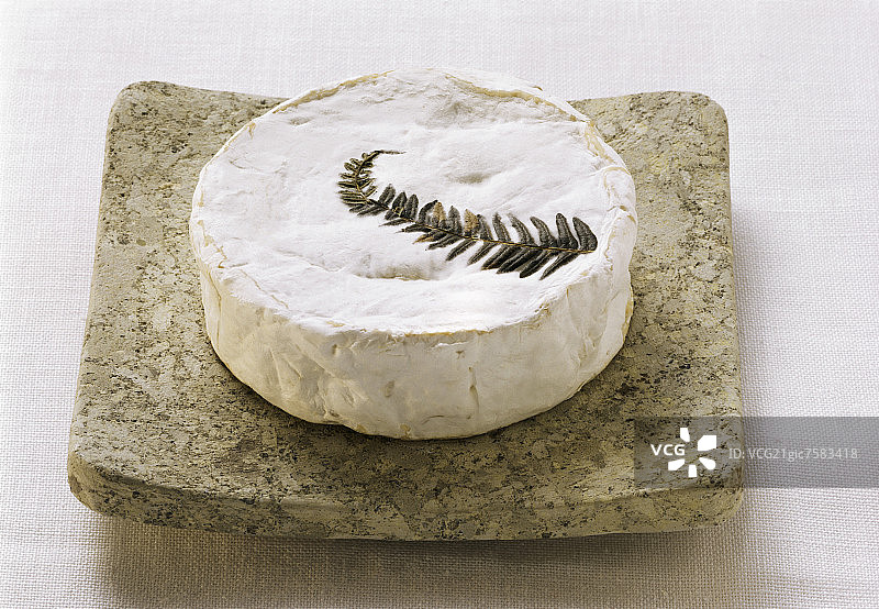 石板上的弗热鲁奶酪（带蕨类植物的生牛奶酪）图片素材