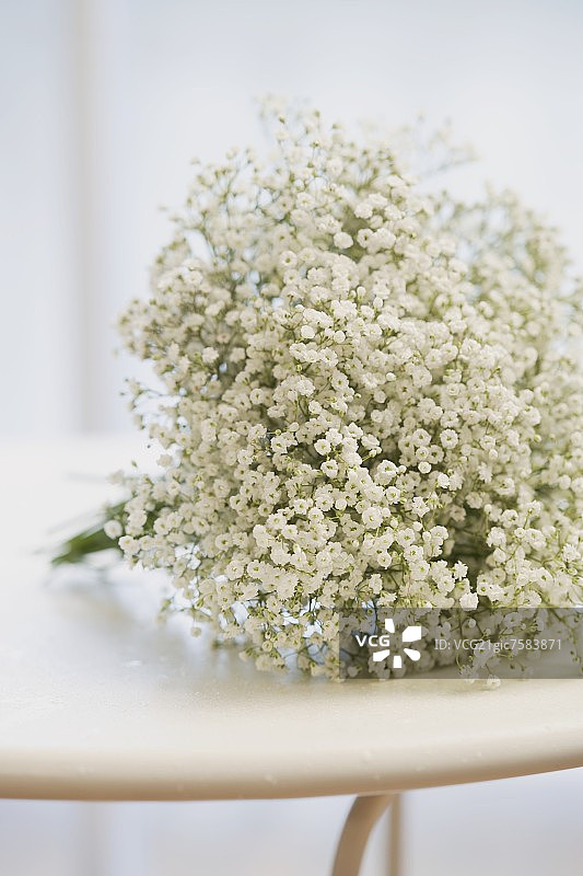 桌子上的满天星图片素材