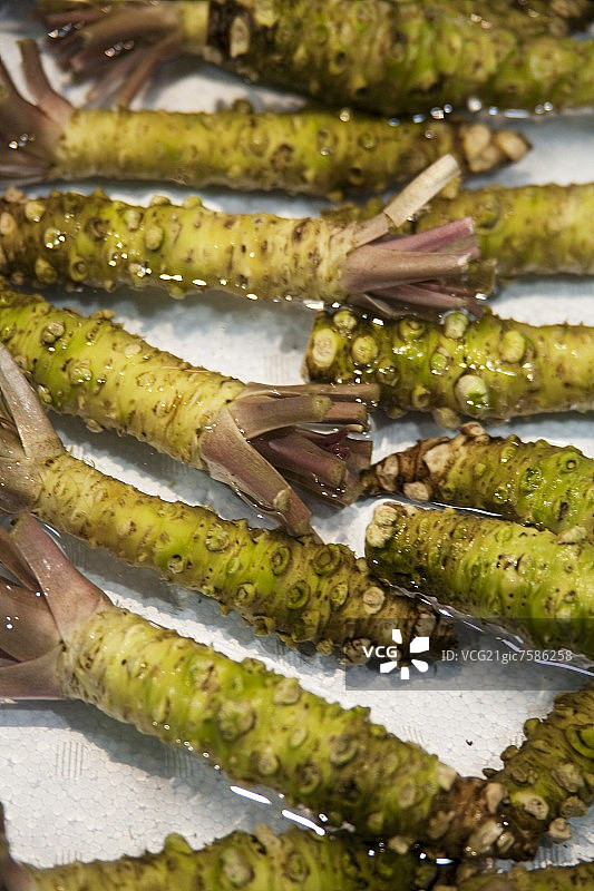 水中的日本辣根（芥末）图片素材