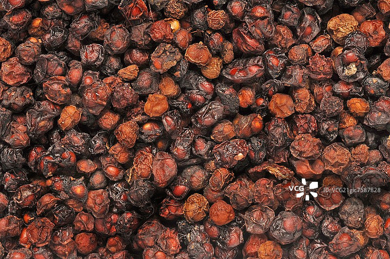 干五味子图片素材