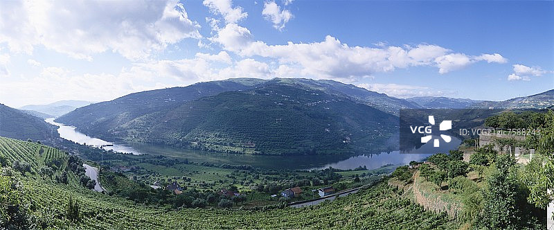 葡萄牙杜罗区梅桑弗里乌附近的葡萄园图片素材