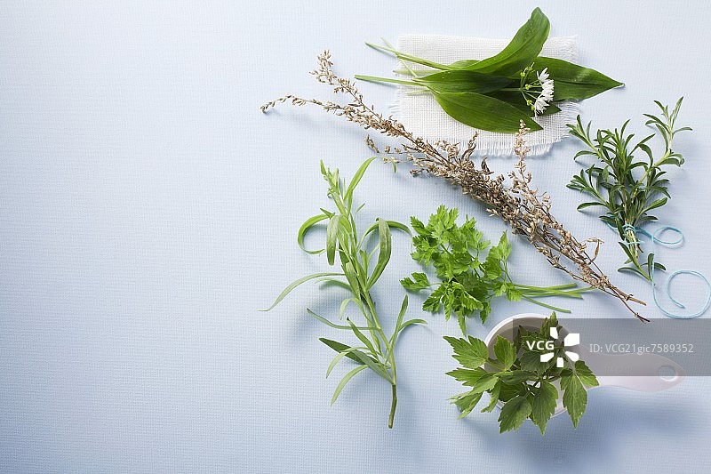 各种新鲜草药图片素材