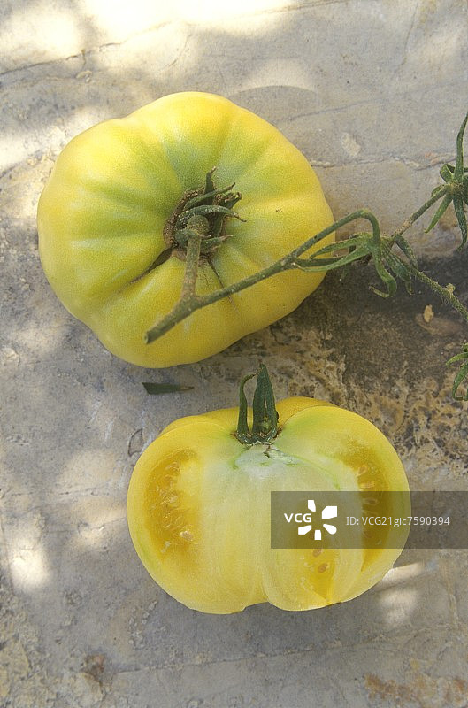 米色或淡黄色牛肉番茄，白色奇迹图片素材