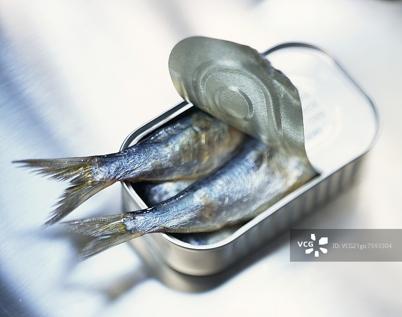 开启的沙丁鱼罐头图片素材