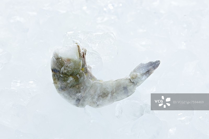 冰冻的冰鲜虾图片素材