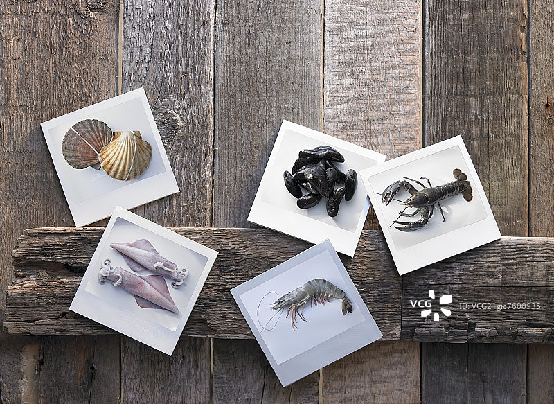 摆放在相纸上的新鲜海鲜图片素材