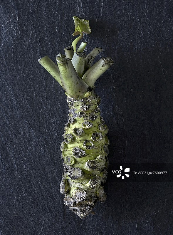 日本芥末（山葵）图片素材