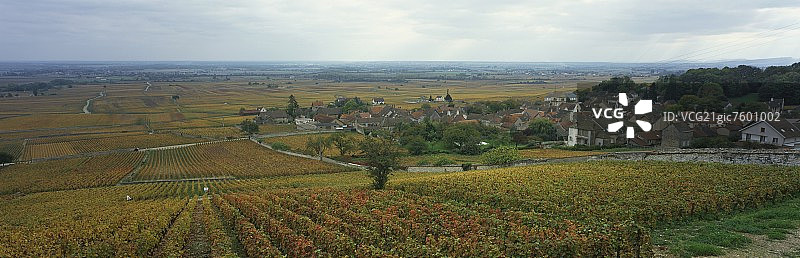 法国勃艮第沃尔奈村图片素材