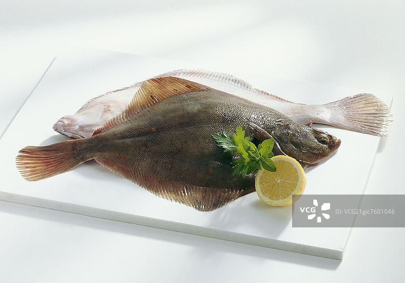 砧板上的新鲜鲽鱼图片素材