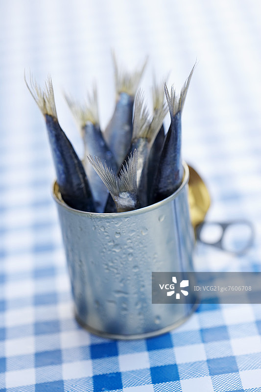 罐头里头朝下的新鲜沙丁鱼图片素材