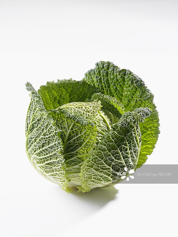 皱叶甘蓝图片素材