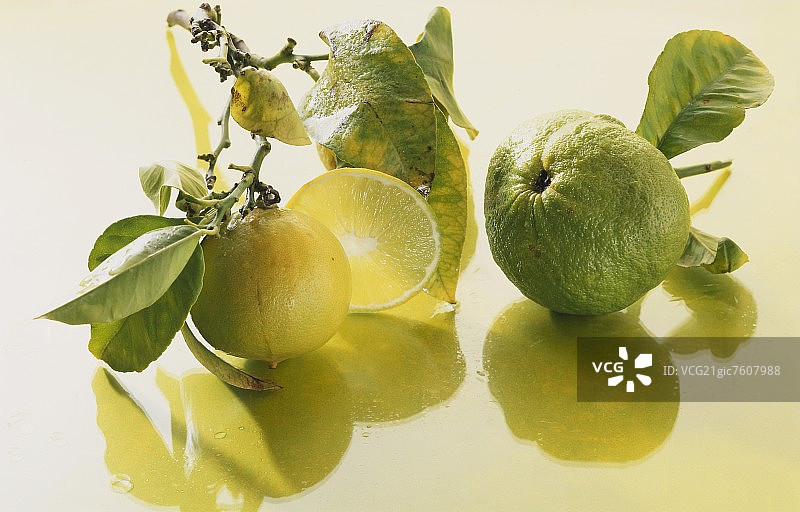 枝头上的各式青柠图片素材