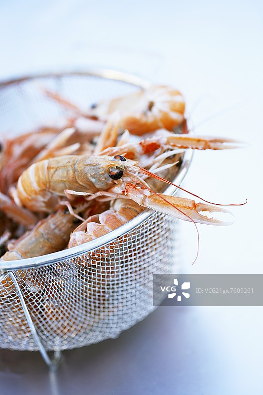 筛子里的鳌虾图片素材