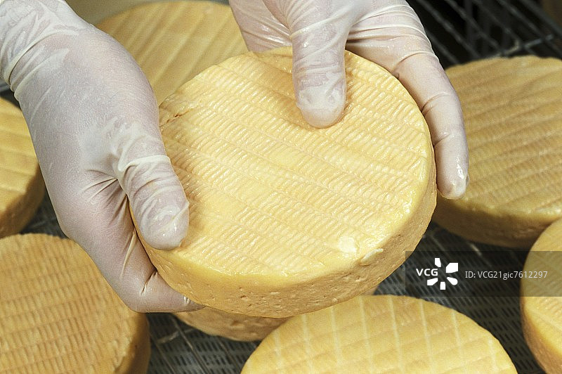 手中拿着芒斯特奶酪图片素材