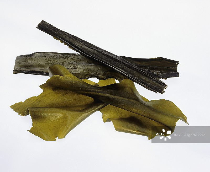 来自亚洲的海带图片素材