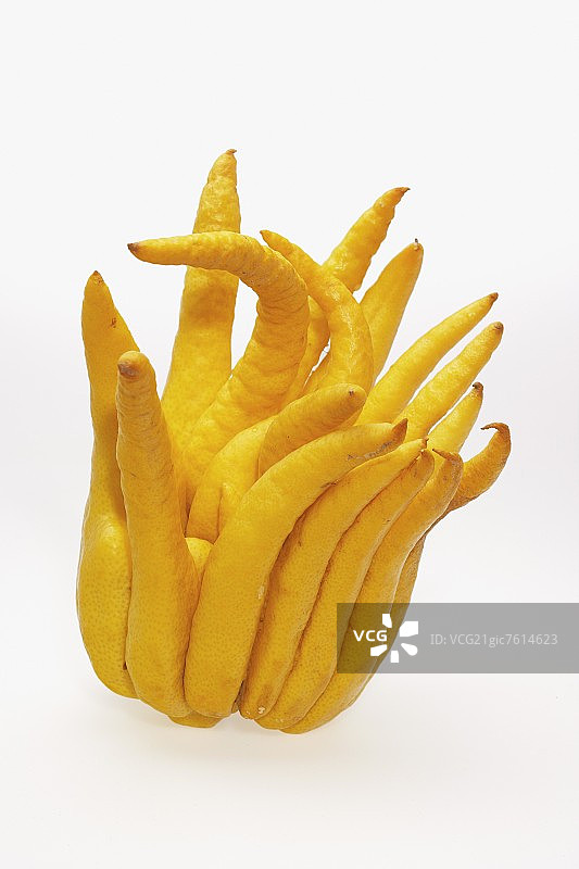 佛手柑图片素材