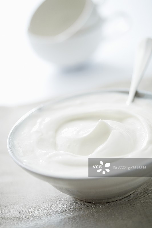 瓷碗中的夸克图片素材