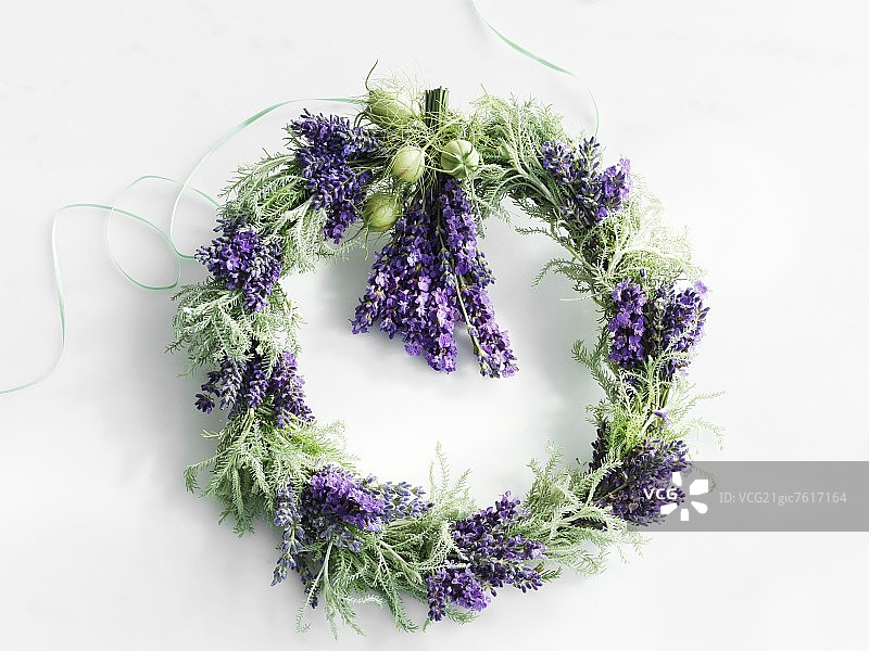 棉薰衣草和薰衣草花环图片素材