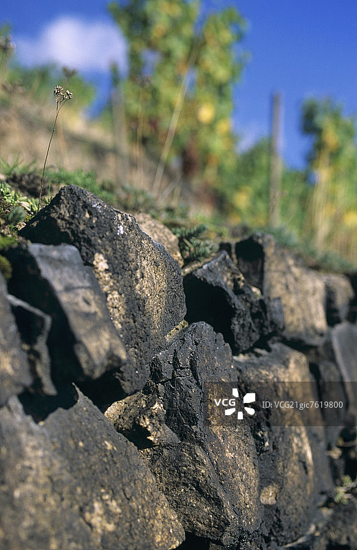 德国萨克森州迪斯巴尔-苏斯利茨的典型正长岩葡萄园墙图片素材