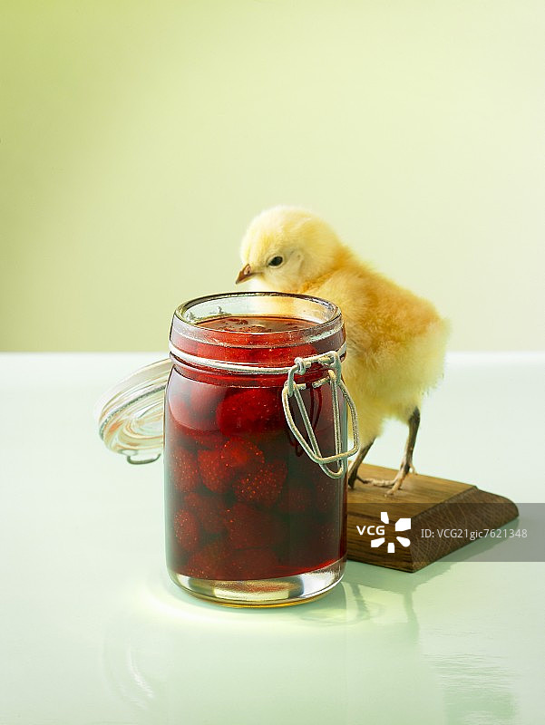 草莓酱与小鸡图片素材