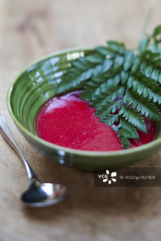 红果羊齿叶汤图片素材