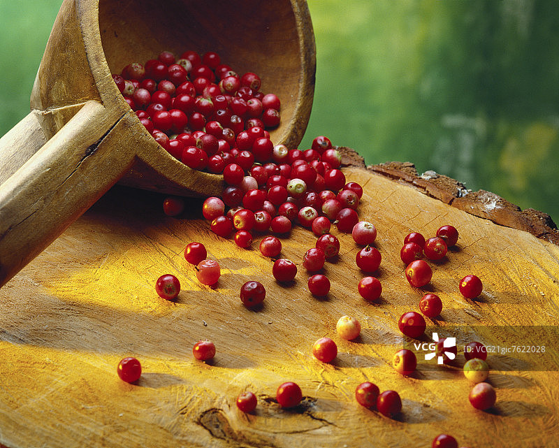 蔓越莓从木勺中掉落图片素材