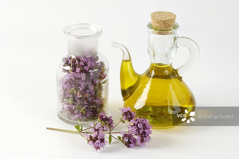 牛至花和牛至油（草药）图片素材