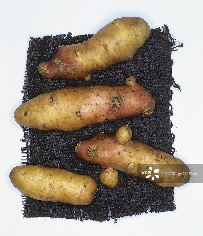 粉红冷杉苹果土豆图片素材