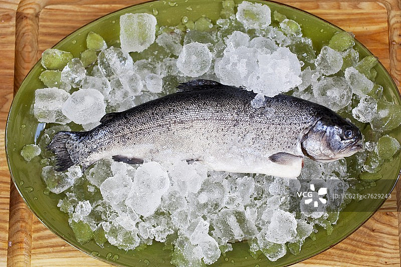 冰盘上的新鲜整条溪鳟图片素材