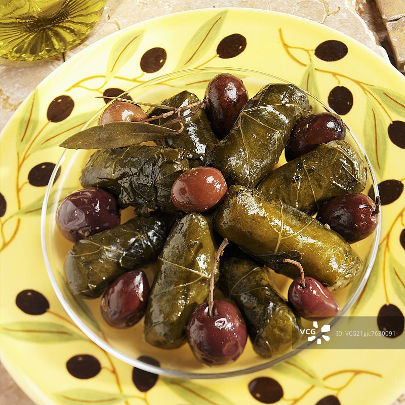 橄榄酿葡萄叶图片素材