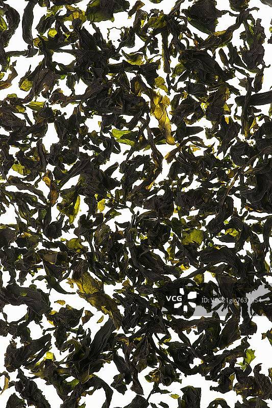 干海带图片素材