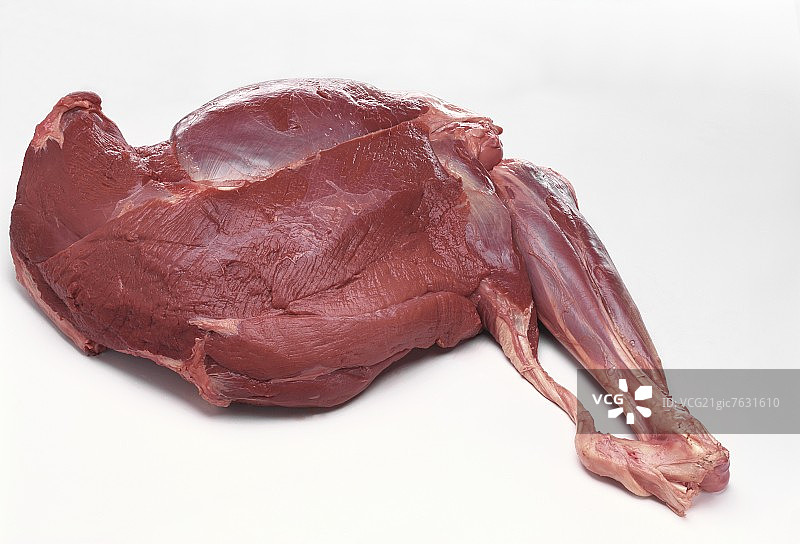 小鹿腿图片素材