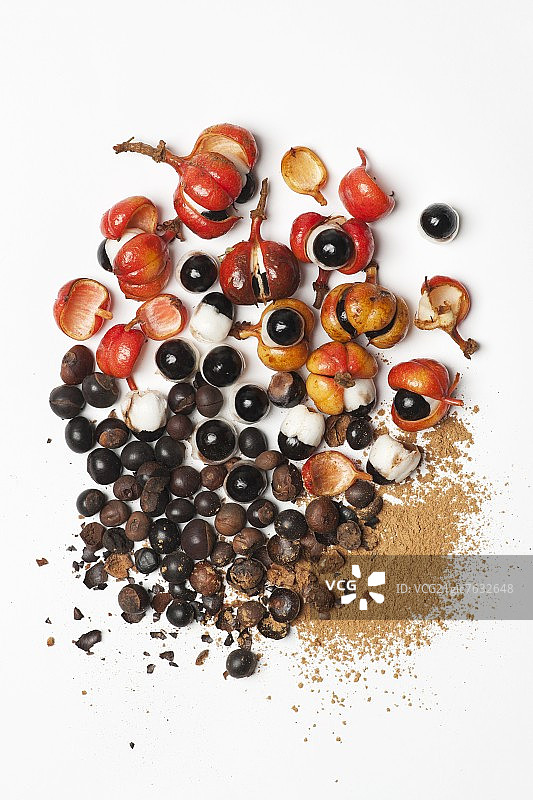 瓜拉纳（泡林藤），种子和粉末图片素材