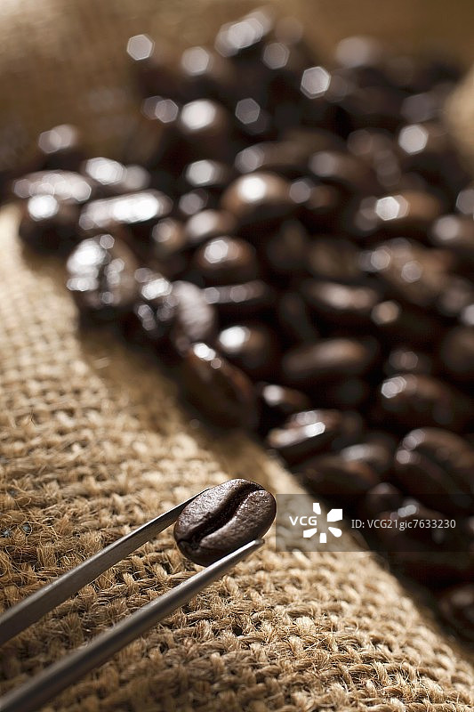 烤阿拉比卡咖啡豆图片素材