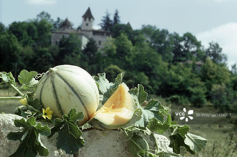 夏朗德甜瓜与切片图片素材