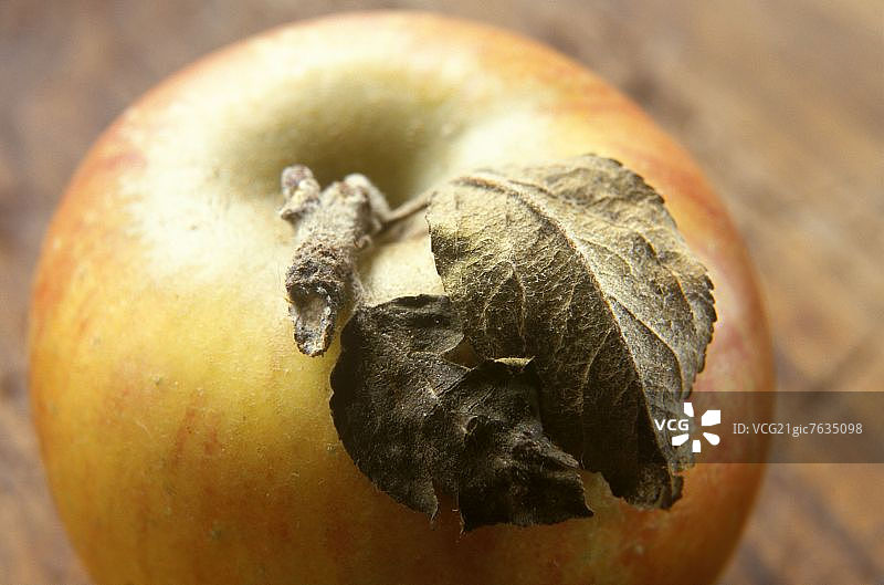 带叶子的苹果图片素材