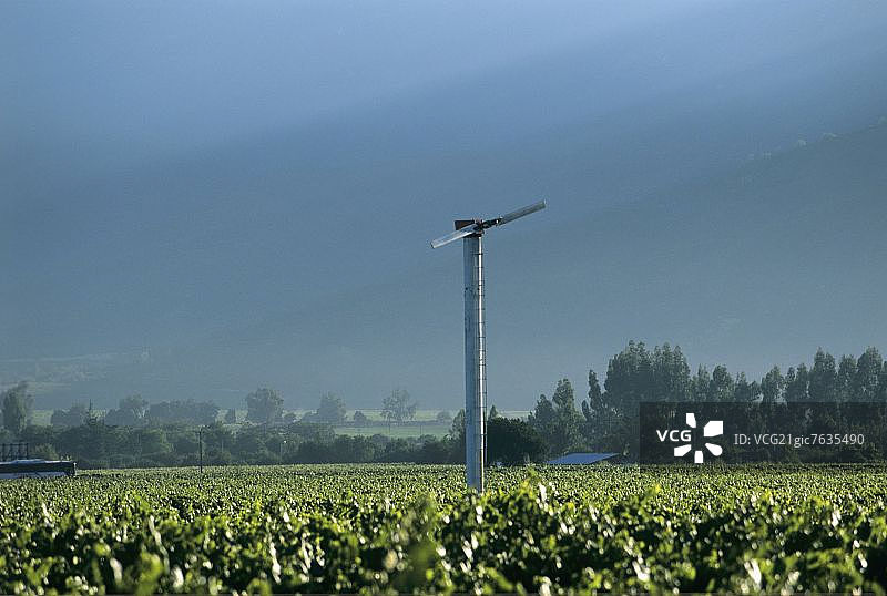 智利卡萨布兰卡葡萄园的防霜风机图片素材